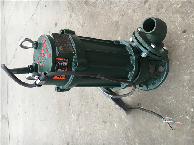 潛水泵.jpg 潛水泵.jpg